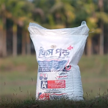 ফিস পন্ড প্লাস
